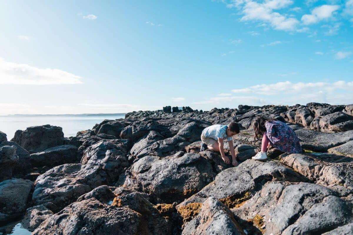 Takapuna Beachfront W Stunning Views Auckland Extérieur photo